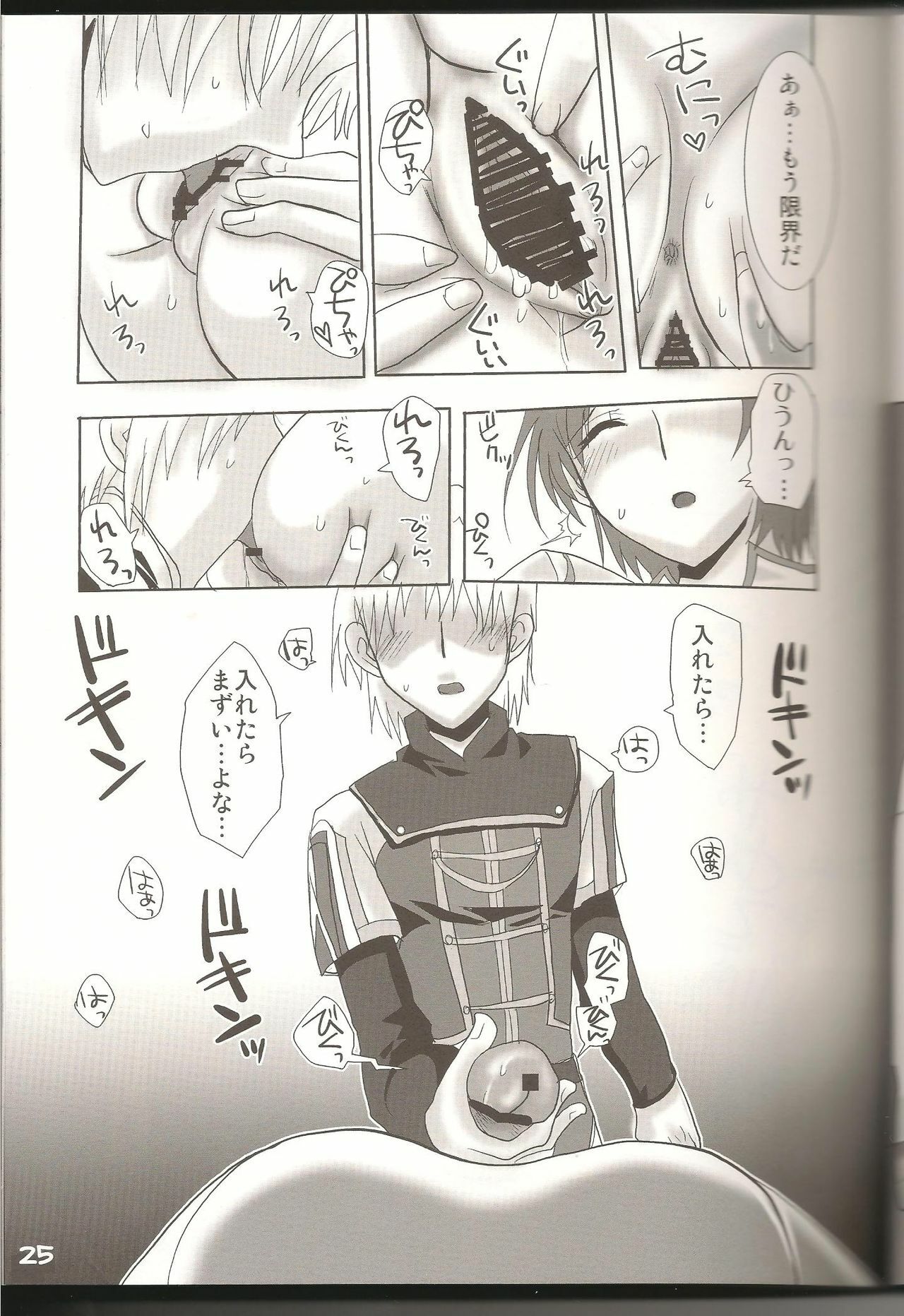 (C74) [Fetch (@Momoyama)] Lovesugi XI MANIAX-2 (Final Fantasy XI) page 24 full