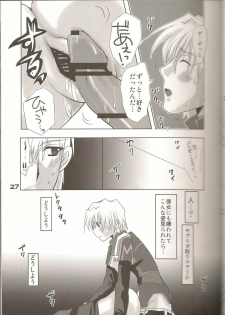 (C74) [Fetch (@Momoyama)] Lovesugi XI MANIAX-2 (Final Fantasy XI) - page 26