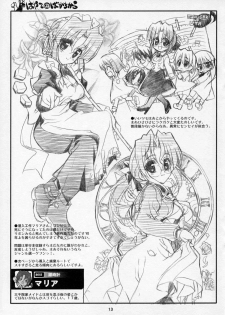 (C70) [Neko-bus Tei (Shaa)] THE Hayate DE Pon! Lite (Hayate no Gotoku!) - page 12