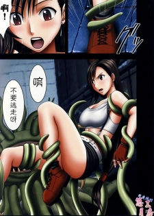 (C72) [Crimson] Tifa Sai (Final Fantasy VII) [Chinese] [悠月工房] - page 24