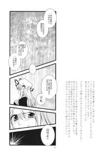 (C76) [pinktips.info (kazuha)] Cosplay Reitaisai o Katte Shimatta. (Touhou Project) - page 4