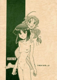 (C58) [Okinawa Taieki Gunjinkai (Yasunaga Kouichirou)] Shimai Zaka - Sister Slope (Kizuato) - page 30