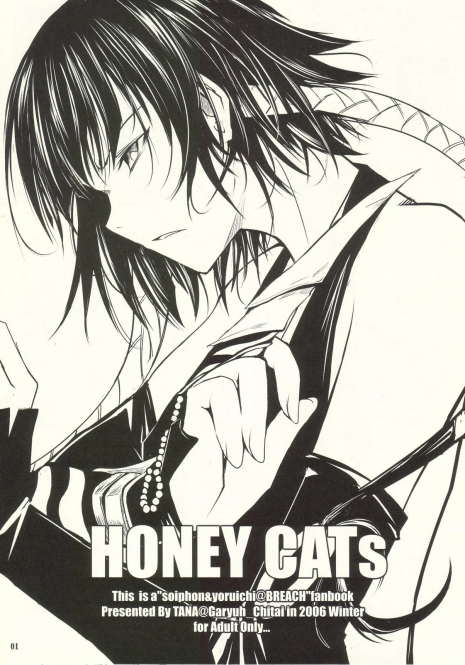 (C71) [Garyuh-Chitai (TANA)] HONEY CATs (Bleach)