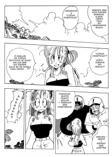 [Yamamoto] Bulma and Company (Dragon Ball) [Spanish] - page 3