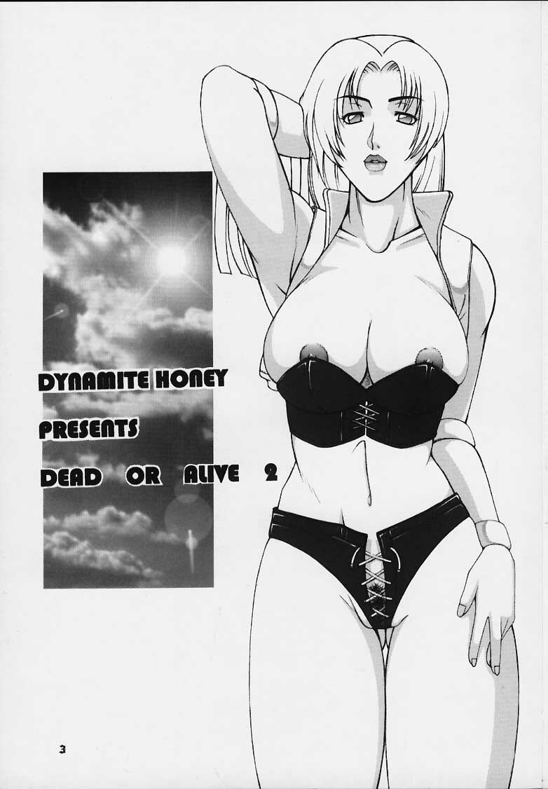 (C58) [Dynamite Honey (Gaigaitai)] Dynamite 6 DEAD OR ALIVE 2 (Dead or Alive) page 2 full