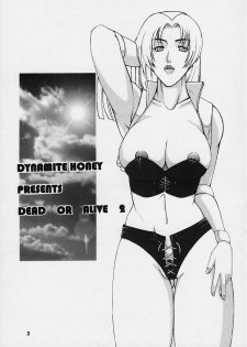 (C58) [Dynamite Honey (Gaigaitai)] Dynamite 6 DEAD OR ALIVE 2 (Dead or Alive) - page 2