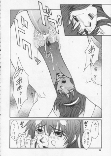 (CR31) [BREEZE (Haioku)] R25 Vol.6 D^3 (Dead or Alive) - page 13