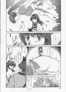 (CR31) [BREEZE (Haioku)] R25 Vol.6 D^3 (Dead or Alive) - page 5