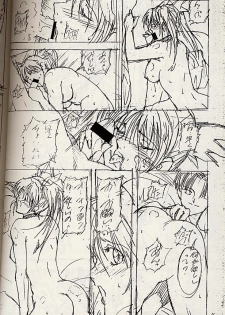 (C51) [Shibarism (Shibari Kana)] HONEY DIP (Fighting Vipers) - page 17