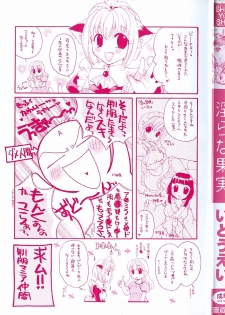 [Itou Ei] Midara na Kajitsu - page 3