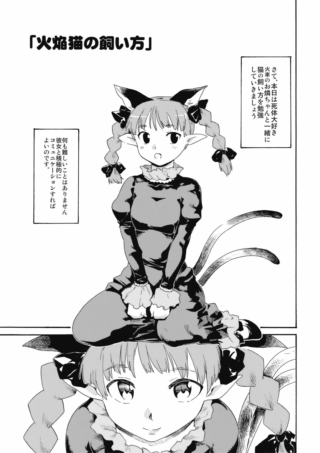 (Kouroumu 5) [Paranoia Cat (Fujiwara Shunichi)] Touhou Ukiyo Emaki Kaenbyou no Kaikata Jigokugarasu no Sodatekata (Touhou Project) page 3 full