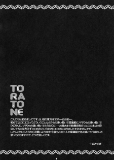 (Kouroumu 5) [Nimame (Nakayama Miyuki)] TORATONE (Touhou Project) [English] - page 5