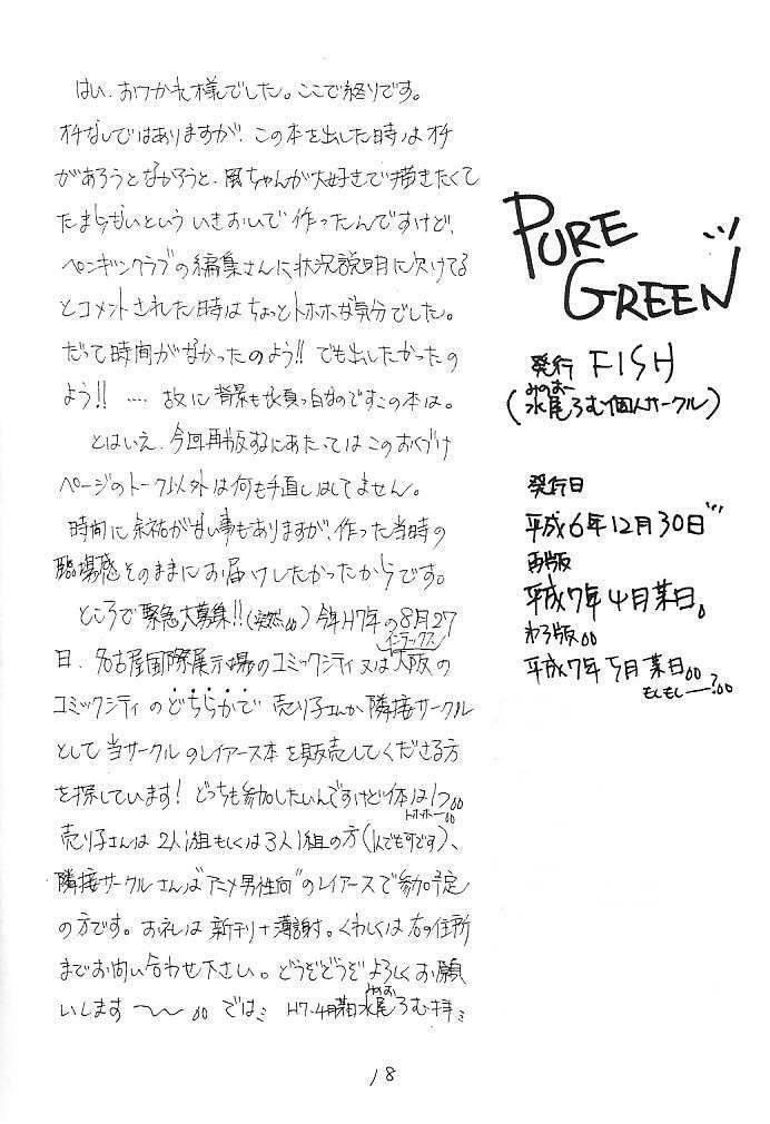 (C47) [FISH (Minoh Rom)] Pure Green (Magic Knight Rayearth) page 17 full