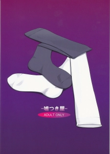(Reitaisai 6) [Usotsukiya (Oouso)] Touhou Kutsushita Bon 2 | Touhou Sock Book 2 (Touhou Project) [English] [ReMoe] - page 26