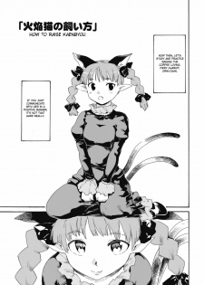 (Kouroumu 5) [Paranoia Cat (Fujiwara Shunichi)] Touhou Ukiyo Emaki Kaenbyou no Kaikata, Jigokugarasu no Sodatekata (Touhou Project) [English] - page 3