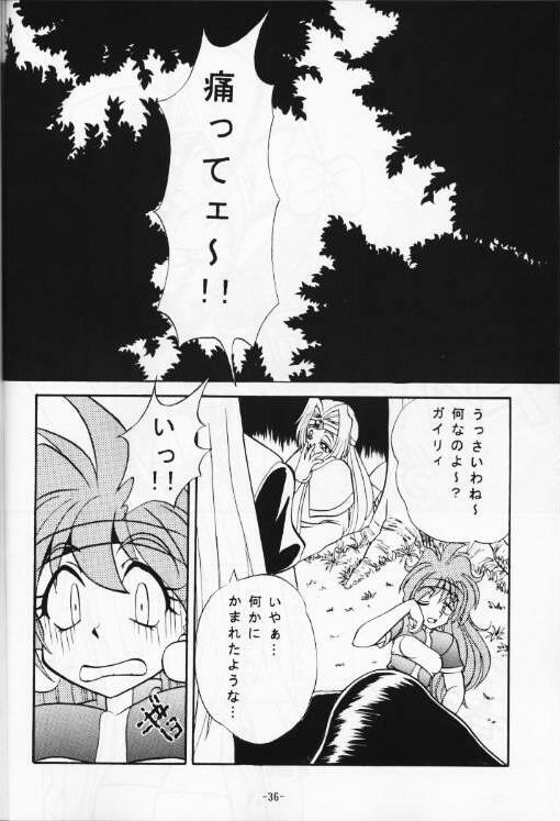 (C53) [Himawari Endan (Various)] BTB-21 Kyou no Ohiru wa Viking Kanzenban (Slayers) page 37 full