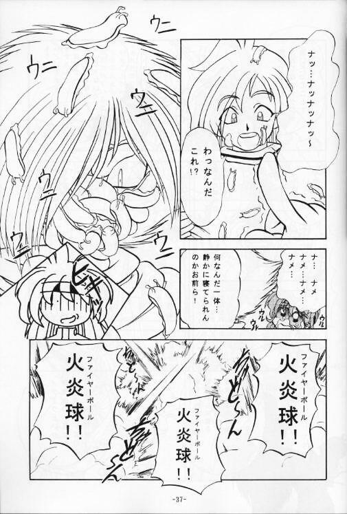 (C53) [Himawari Endan (Various)] BTB-21 Kyou no Ohiru wa Viking Kanzenban (Slayers) page 38 full