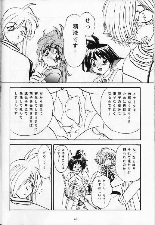 (C53) [Himawari Endan (Various)] BTB-21 Kyou no Ohiru wa Viking Kanzenban (Slayers) page 41 full