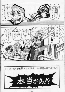 (C53) [Himawari Endan (Various)] BTB-21 Kyou no Ohiru wa Viking Kanzenban (Slayers) - page 29