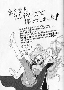 (C53) [Himawari Endan (Various)] BTB-21 Kyou no Ohiru wa Viking Kanzenban (Slayers) - page 30