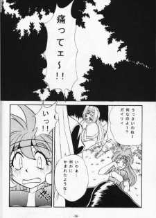 (C53) [Himawari Endan (Various)] BTB-21 Kyou no Ohiru wa Viking Kanzenban (Slayers) - page 37