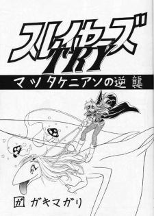 (C53) [Himawari Endan (Various)] BTB-21 Kyou no Ohiru wa Viking Kanzenban (Slayers) - page 4
