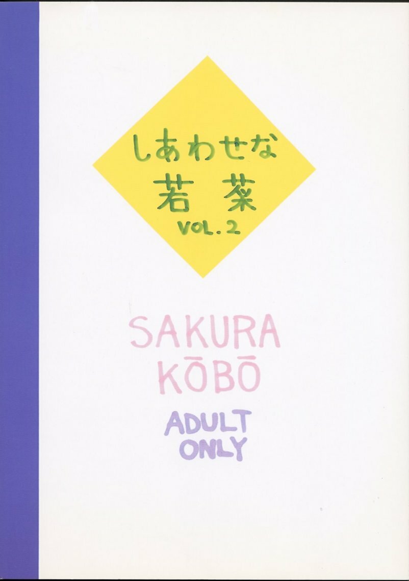(CR25) [Sakura Koubou (Sakura Kotetsu, Yanman)] Shiawase na Wakana 2 (Sentimental Graffiti) page 42 full