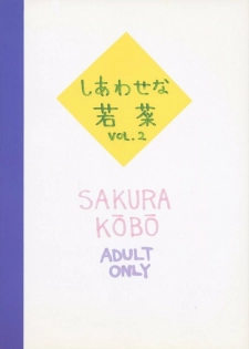 (CR25) [Sakura Koubou (Sakura Kotetsu, Yanman)] Shiawase na Wakana 2 (Sentimental Graffiti) - page 42