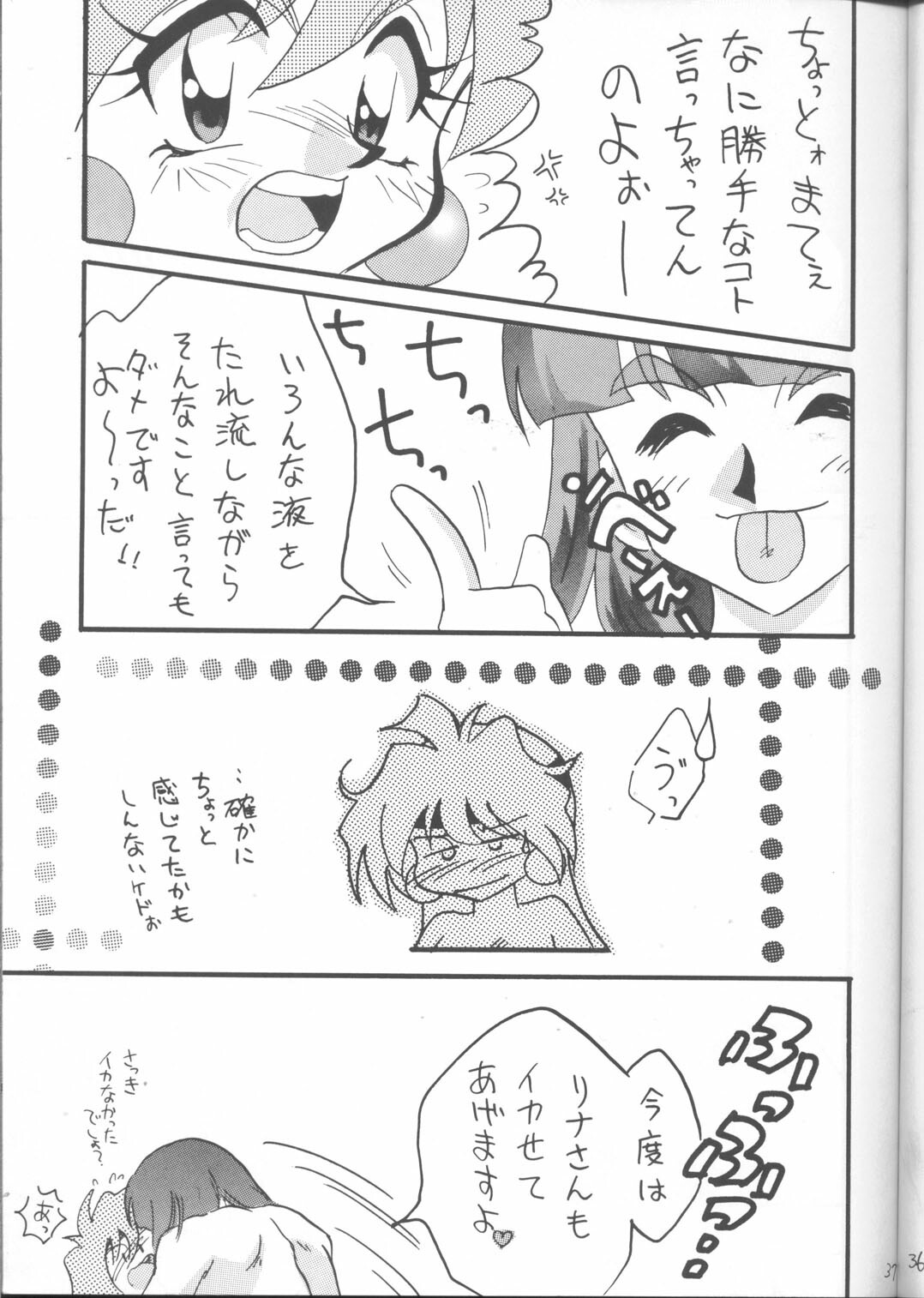 [Ginmomodou (Mita Satomi)] SLAYERS ADULT 12 (Slayers) page 36 full