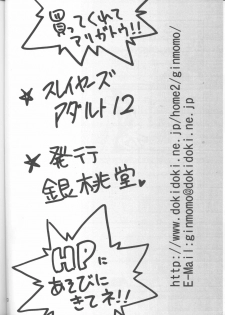 [Ginmomodou (Mita Satomi)] SLAYERS ADULT 12 (Slayers) - page 49