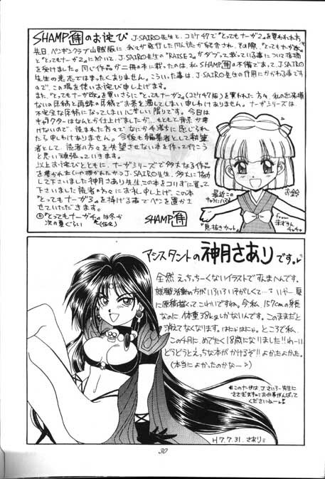 (C48) [Night Stalkers (Hayabusa Heart)] Tottemo Naaga 3 (Slayers) page 29 full