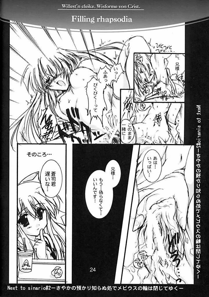 (C61) [Aruku Denpatou no Kai (Atono Matsuri, Kimura Shuuichi)] Filling Rhapsodia (Suika) page 23 full