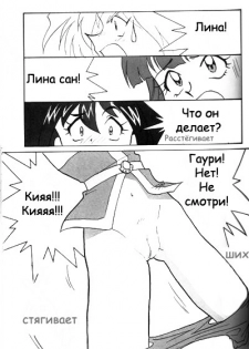 [Ginmomodou (Mita Satomi)] Slayers Adult 2 (Slayers) [Russian] {Невидимка} - page 14