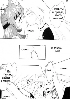 [Ginmomodou (Mita Satomi)] Slayers Adult 2 (Slayers) [Russian] {Невидимка} - page 23