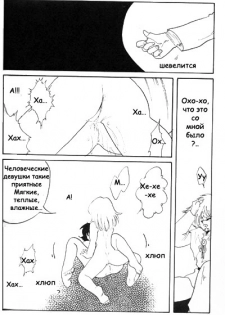 [Ginmomodou (Mita Satomi)] Slayers Adult 2 (Slayers) [Russian] {Невидимка} - page 29