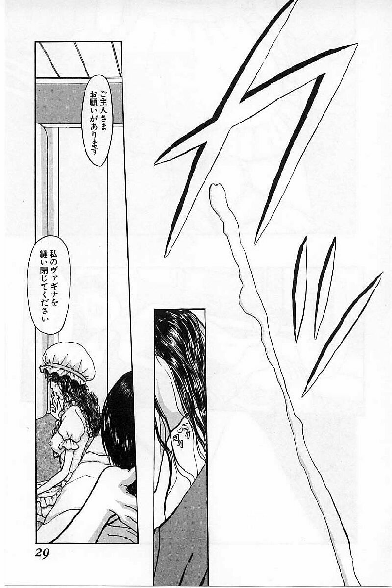 [Mukade Melibe] Burgess no Otome-tachi Waiwakushia no Akira page 31 full