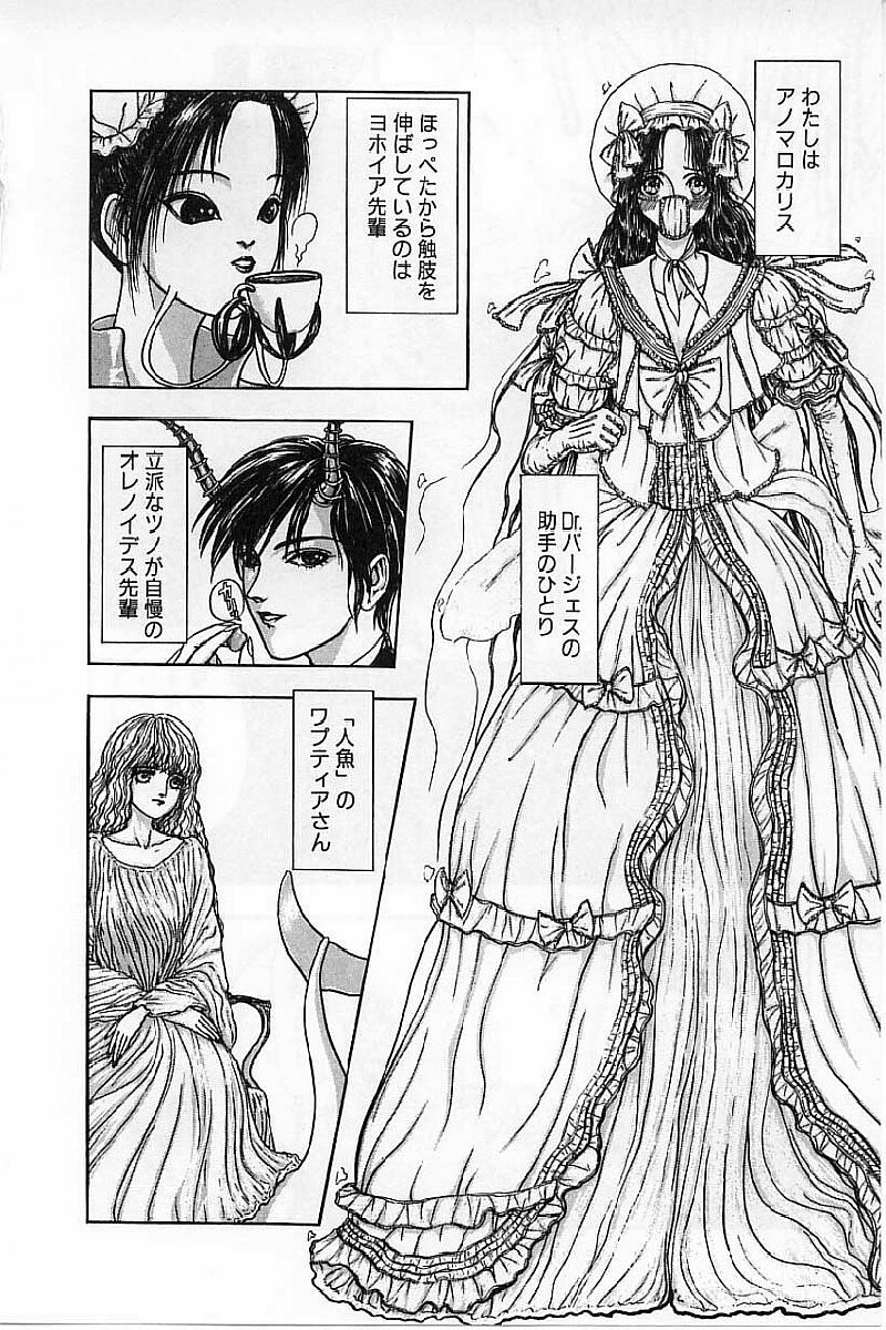 [Mukade Melibe] Burgess no Otome-tachi Waiwakushia no Akira page 42 full