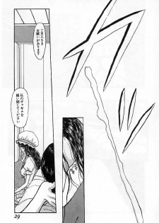 [Mukade Melibe] Burgess no Otome-tachi Waiwakushia no Akira - page 31