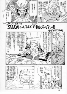 (C66) [GOLD RUSH (Suzuki Address)] Edition (Hana) (Gundam SEED) [English] [SaHa] - page 25