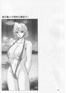 (C63) [HEAVEN'S UNIT (Kouno Kei)] Daten No Hanazono 3 (Dead or Alive) - page 24