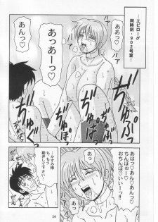 (C63) [HEAVEN'S UNIT (Kouno Kei)] Daten No Hanazono 3 (Dead or Alive) - page 25
