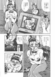 [Kusunoki Hyogo] Nerawareta Niizuma - page 28