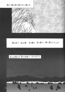 (C51) [Ambivalence (Kana + Tonari No Roto)] Kinjirareta Asobi Romanze D'Amor (Neon Genesis Evangelion) - page 34