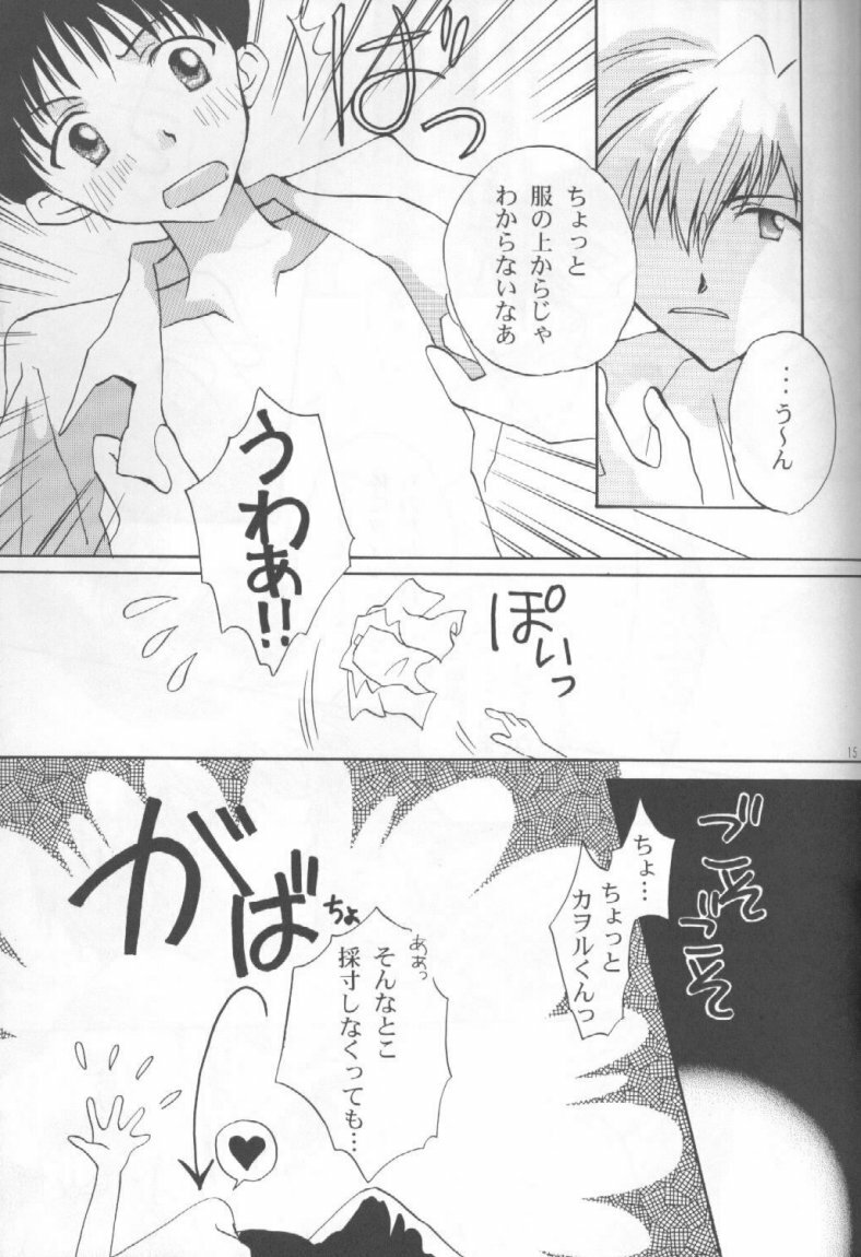 [Gyaroppu Daina ・ Küsse (Minase Kaori + Narita Rumi)] Honey and Poison (Neon Genesis Evangelion) page 14 full