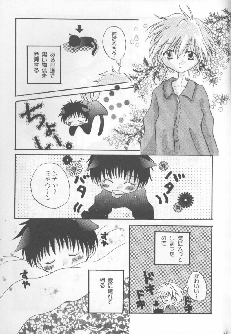 [Gyaroppu Daina ・ Küsse (Minase Kaori + Narita Rumi)] Honey and Poison (Neon Genesis Evangelion) page 22 full