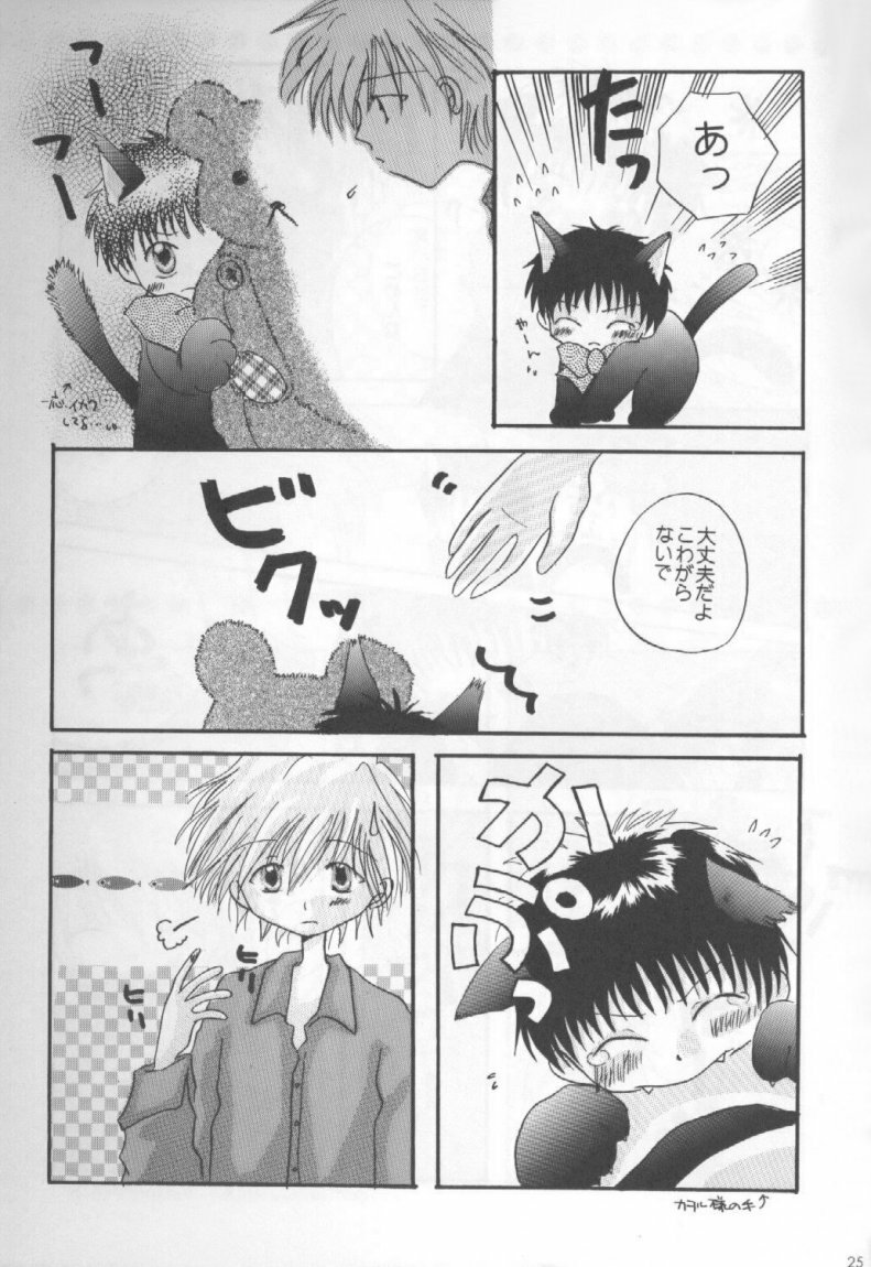 [Gyaroppu Daina ・ Küsse (Minase Kaori + Narita Rumi)] Honey and Poison (Neon Genesis Evangelion) page 24 full