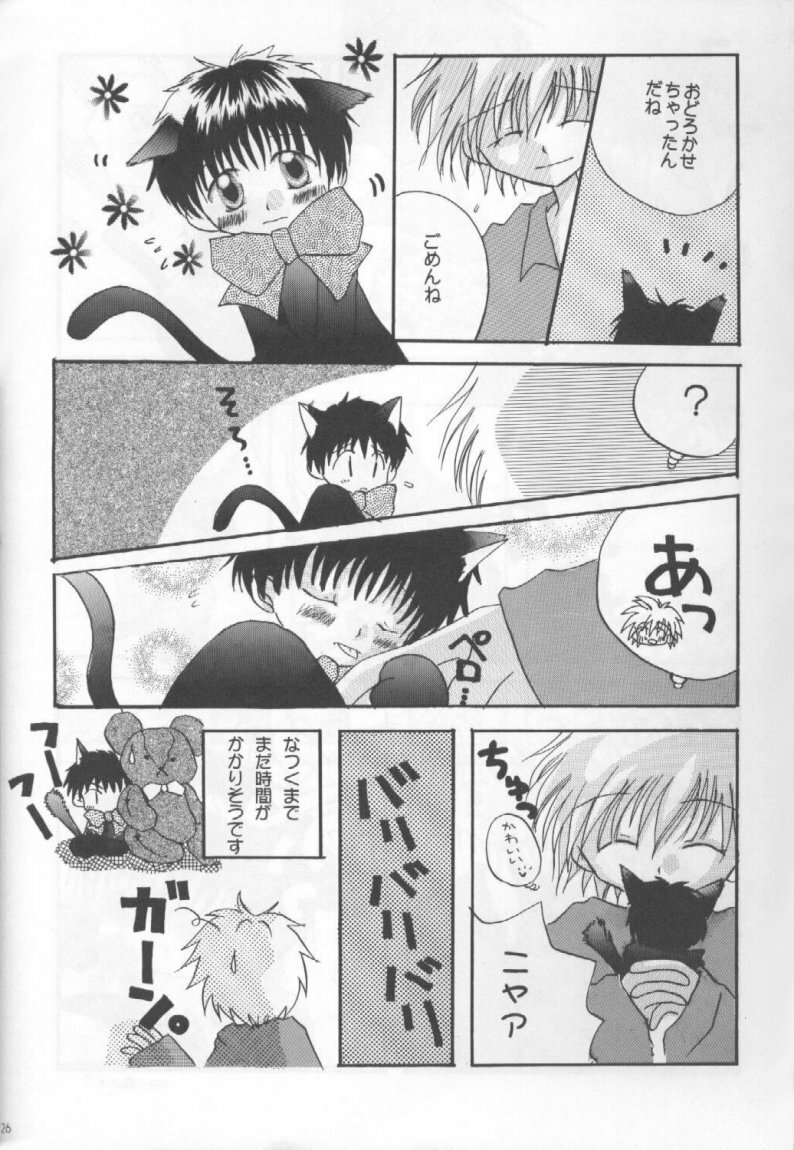 [Gyaroppu Daina ・ Küsse (Minase Kaori + Narita Rumi)] Honey and Poison (Neon Genesis Evangelion) page 25 full