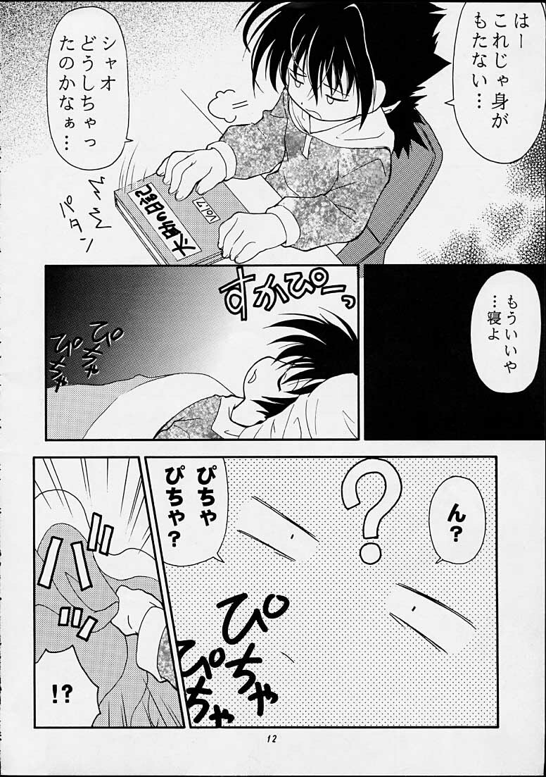 (C55) [Riroland (Kuuya, Satomi Hiroyuki)] Chanto Chanto no Rinshan Kaihou! (Mamotte Shugogetten, Sorcerous Stabber Orphen) page 11 full