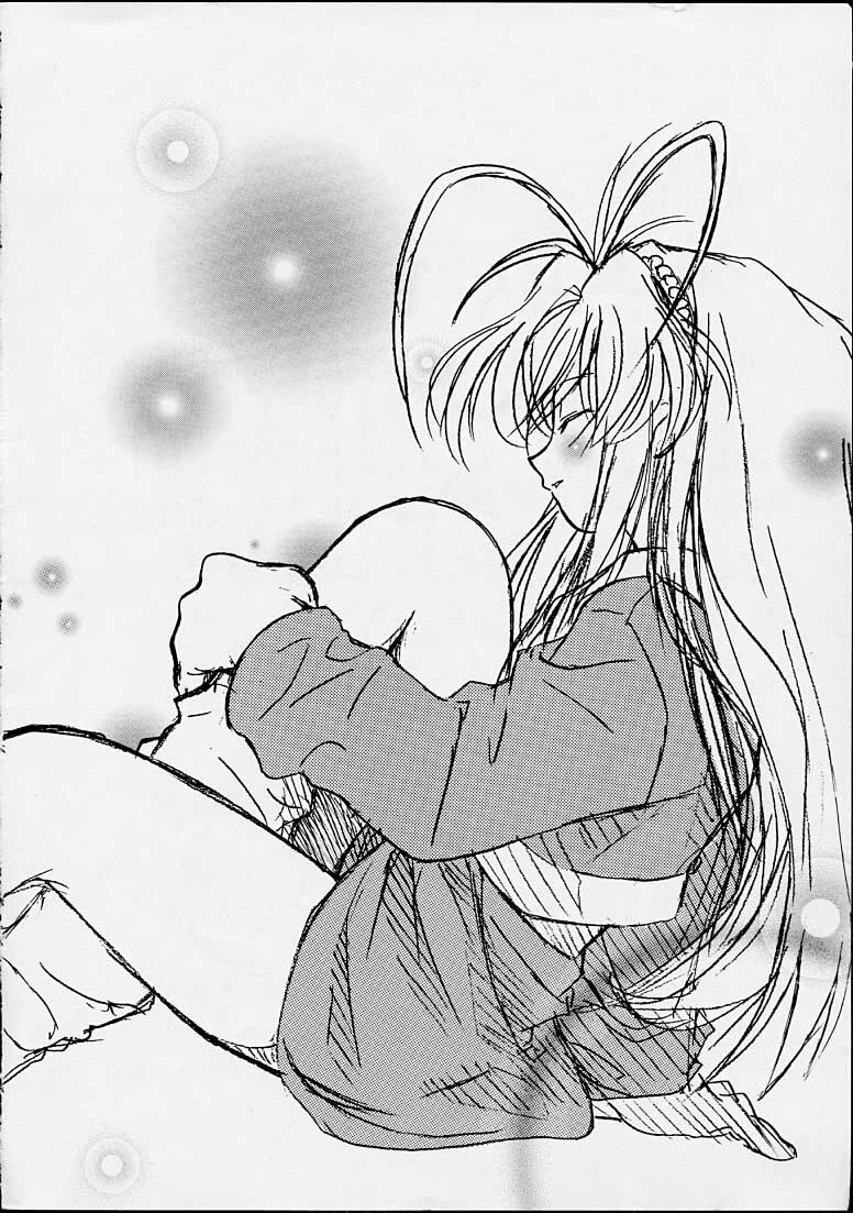 (C55) [Riroland (Kuuya, Satomi Hiroyuki)] Chanto Chanto no Rinshan Kaihou! (Mamotte Shugogetten, Sorcerous Stabber Orphen) page 3 full