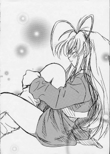 (C55) [Riroland (Kuuya, Satomi Hiroyuki)] Chanto Chanto no Rinshan Kaihou! (Mamotte Shugogetten, Sorcerous Stabber Orphen) - page 3